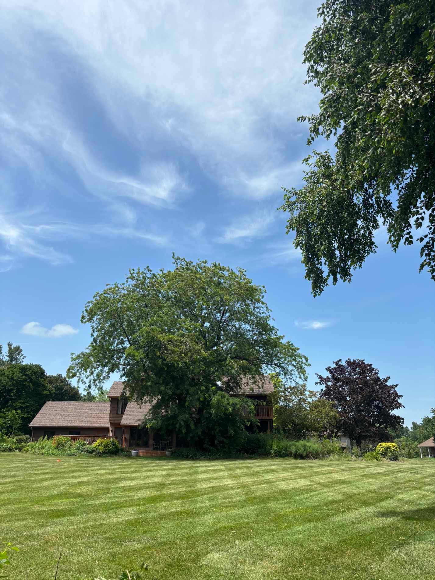 Large striped lawn freshly mowed in front of a cedar-sided home with mature shade trees