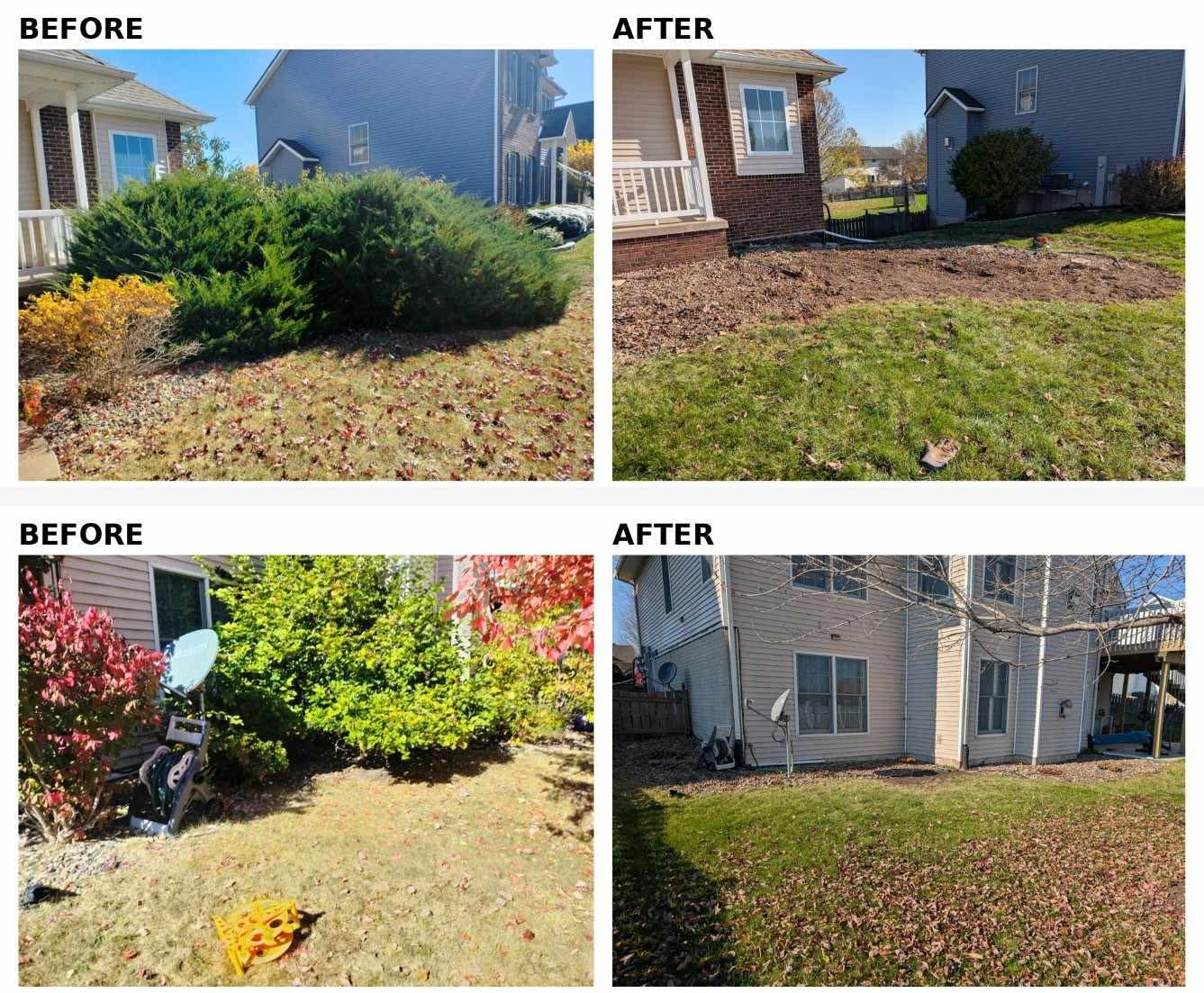 Before and after photos of overgrown shrubs removed from the side of two homes